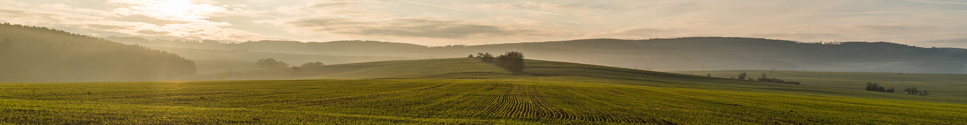 Parcelle agricole dans une plaine vallonn&#233;e sous la brume